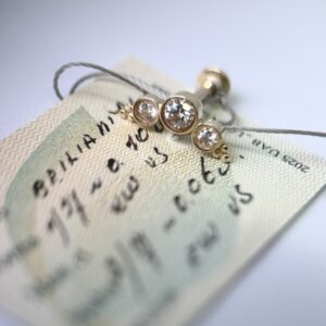 piercing auskaras pailgas su deimantais