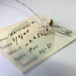 pirsingo auskaras su deimantais gelytė