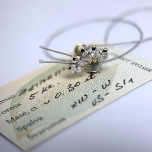 pirsingo auskaras su lašo formos deimantais